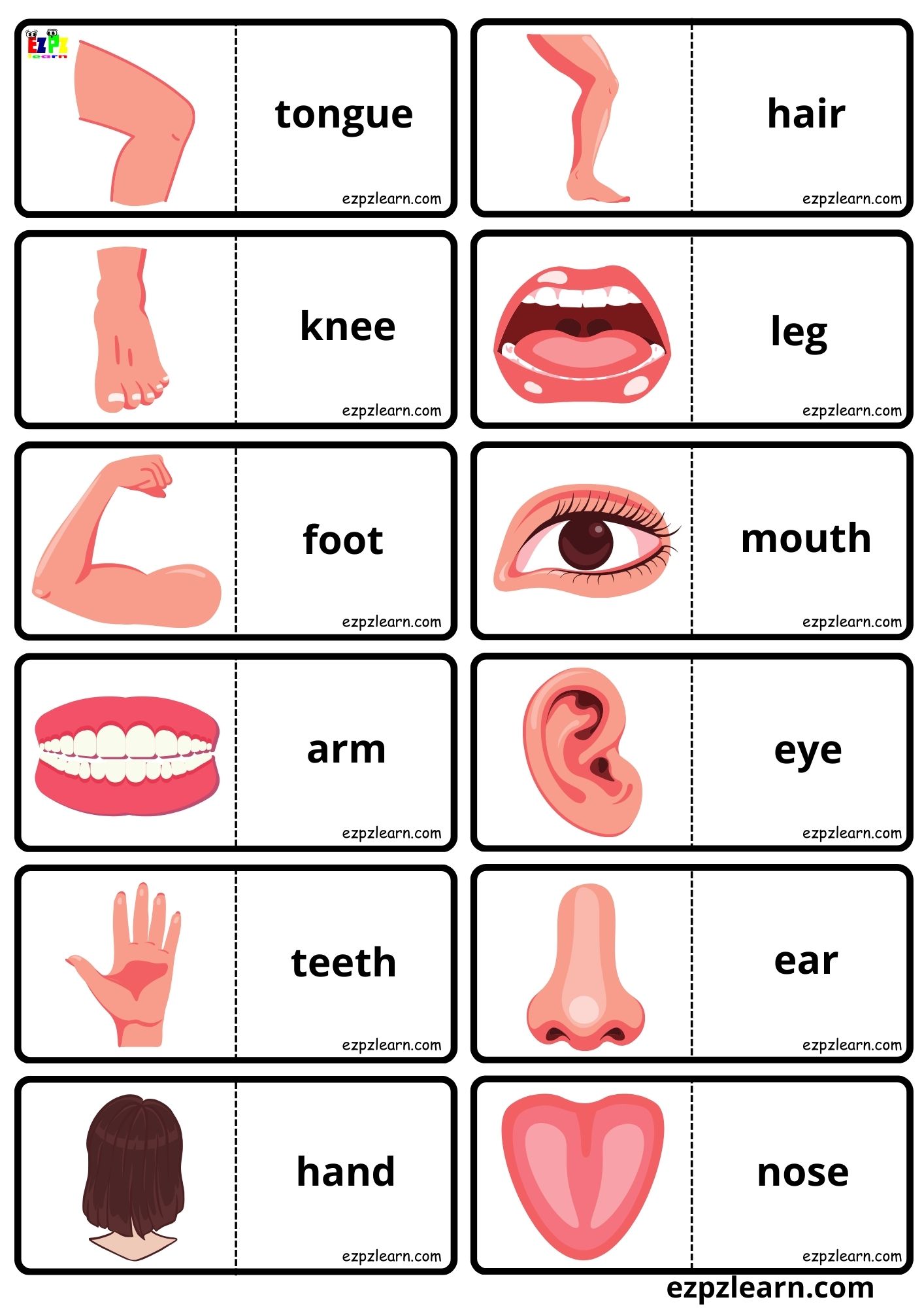 My Body Vocabulary Dominoes Matching Game for Kids Free PDF Download